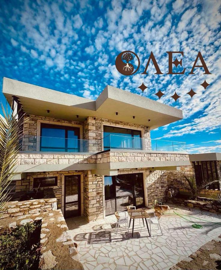 Olea Village - B&B Potos
