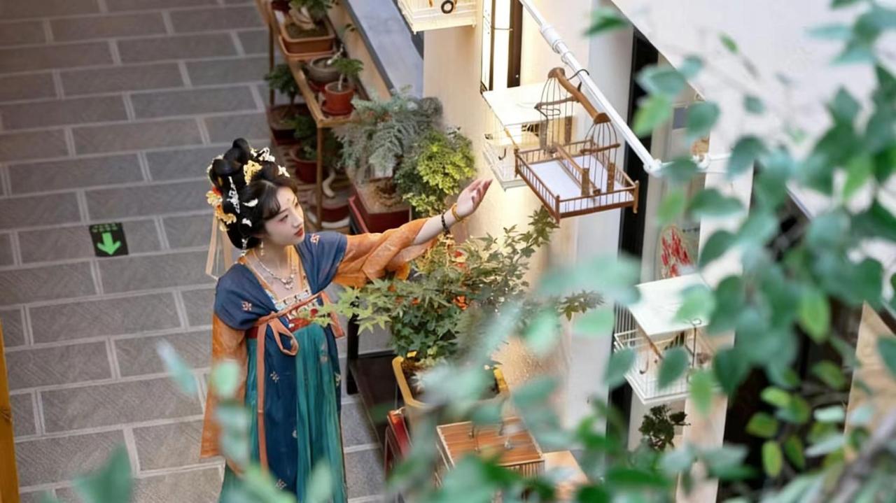 Dongmoshang B&B, Lijingmen Cross Street, Luoyi Ancient City - Chambres d'hôtes Luoyang