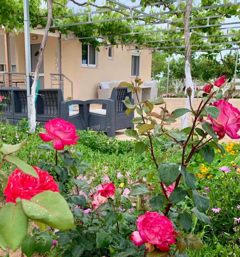 Vasiliki's Apartments - Chambres d'hôtes Dímitra