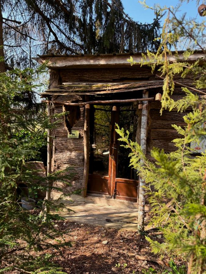 La Cabane des Trappeurs - Bed and Breakfast Crépy-en-Valois