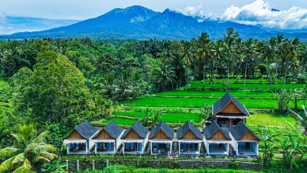 Rice Terrace Bungalows - Chambres d’hôtes Tetebatu