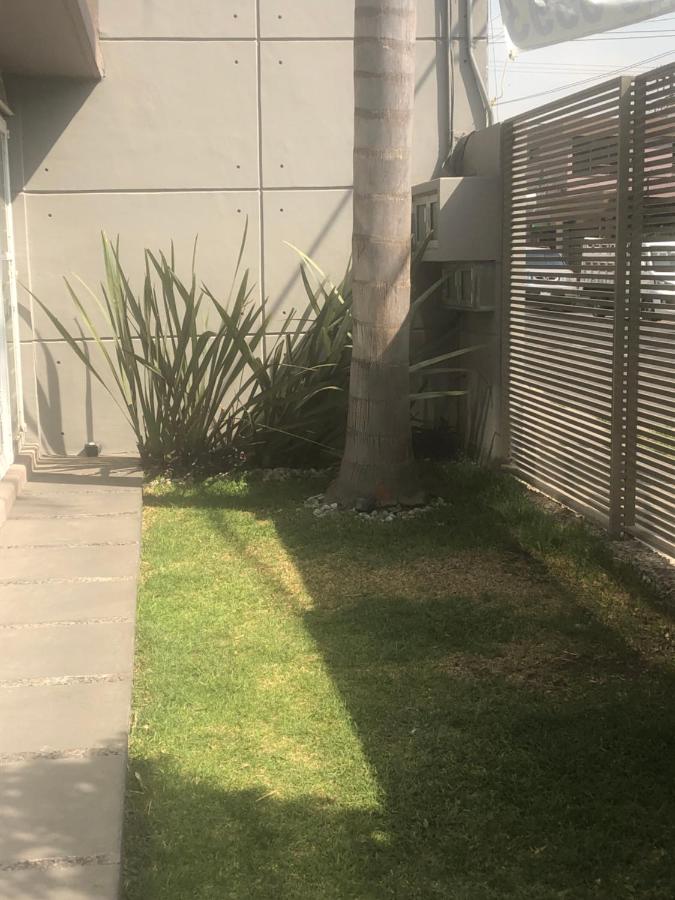 Estancia Iturriaga Suite 1 - B&B Mexico City