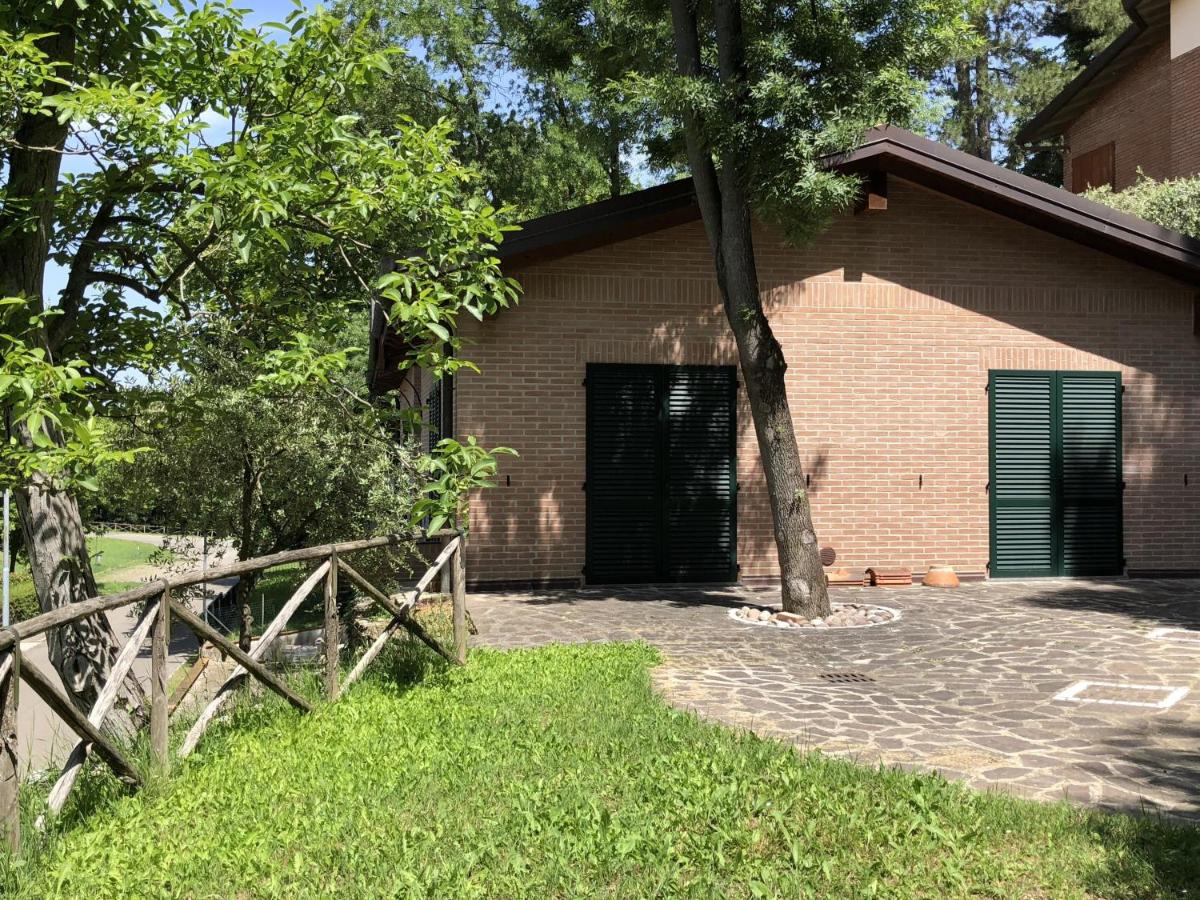 B&B La Collina degli Ulivi - B&B Zola Predosa