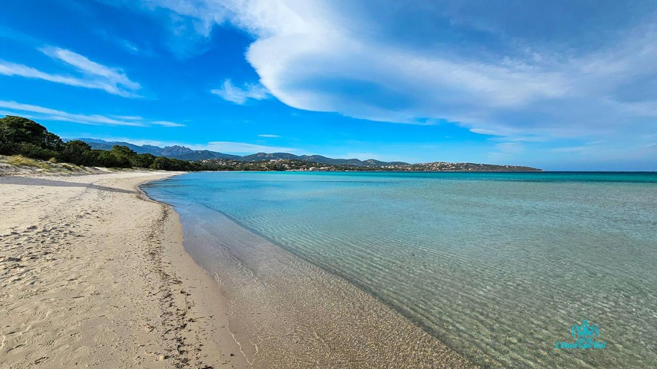 Corse Maison de campagne mer et montagne - B&B Sorbo-Ocagnano