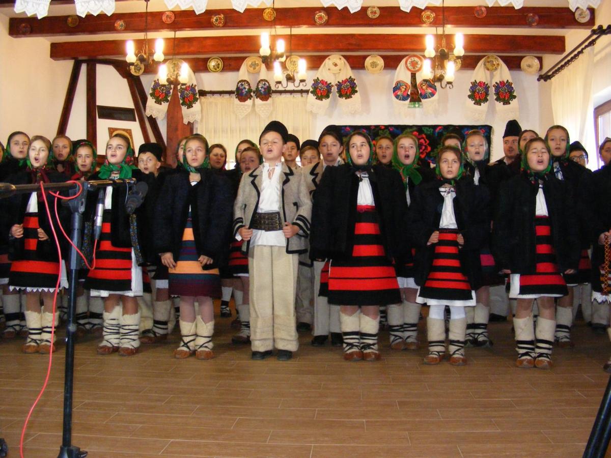 Pensiunea Sanziene - B&B Strâmtura