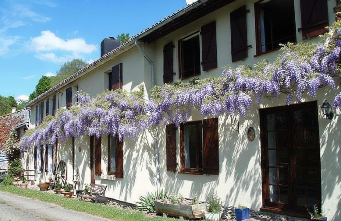 Les Glycines Gîtes - La Roche gîte - shared solar heated pool - garden spa - fenced garden for dogs - Chambres d'hôtes Vernoux-en-Gâtine
