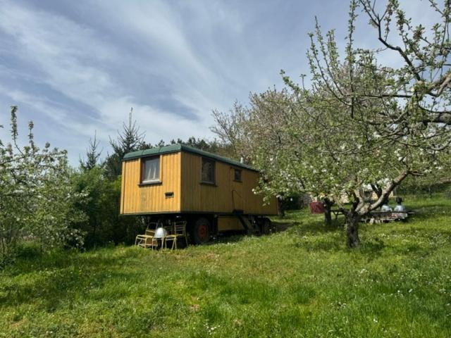 Cirkusz Udvar - Ferienwohnung Kapolcs