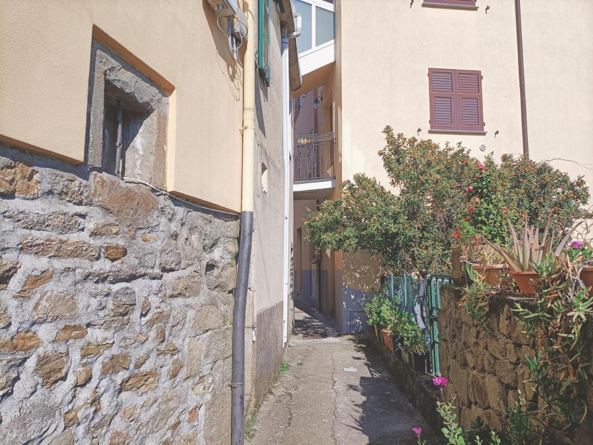 Casa Oleaster Cinque Terre - Chambres d'hôtes Riomaggiore