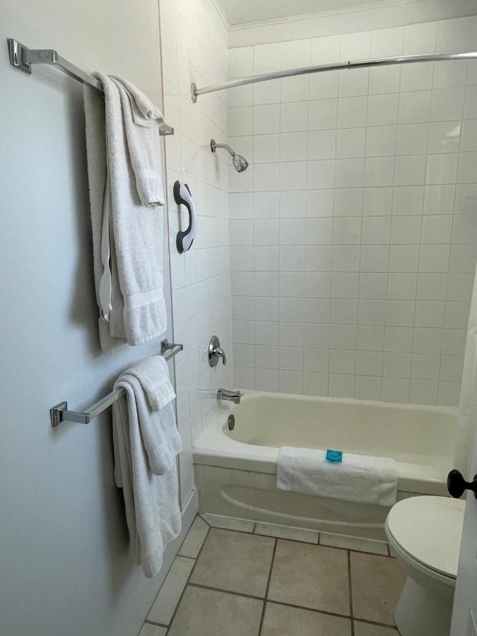 Habitación Deluxe con cama extragrande