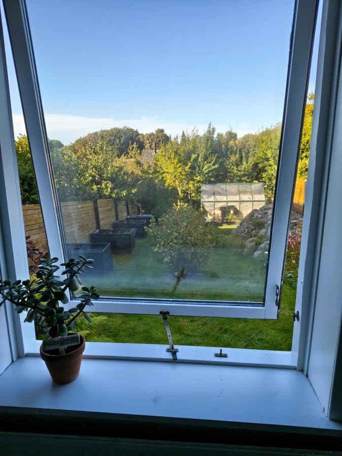 Cozy guest house with terrace - B&B Aalborg