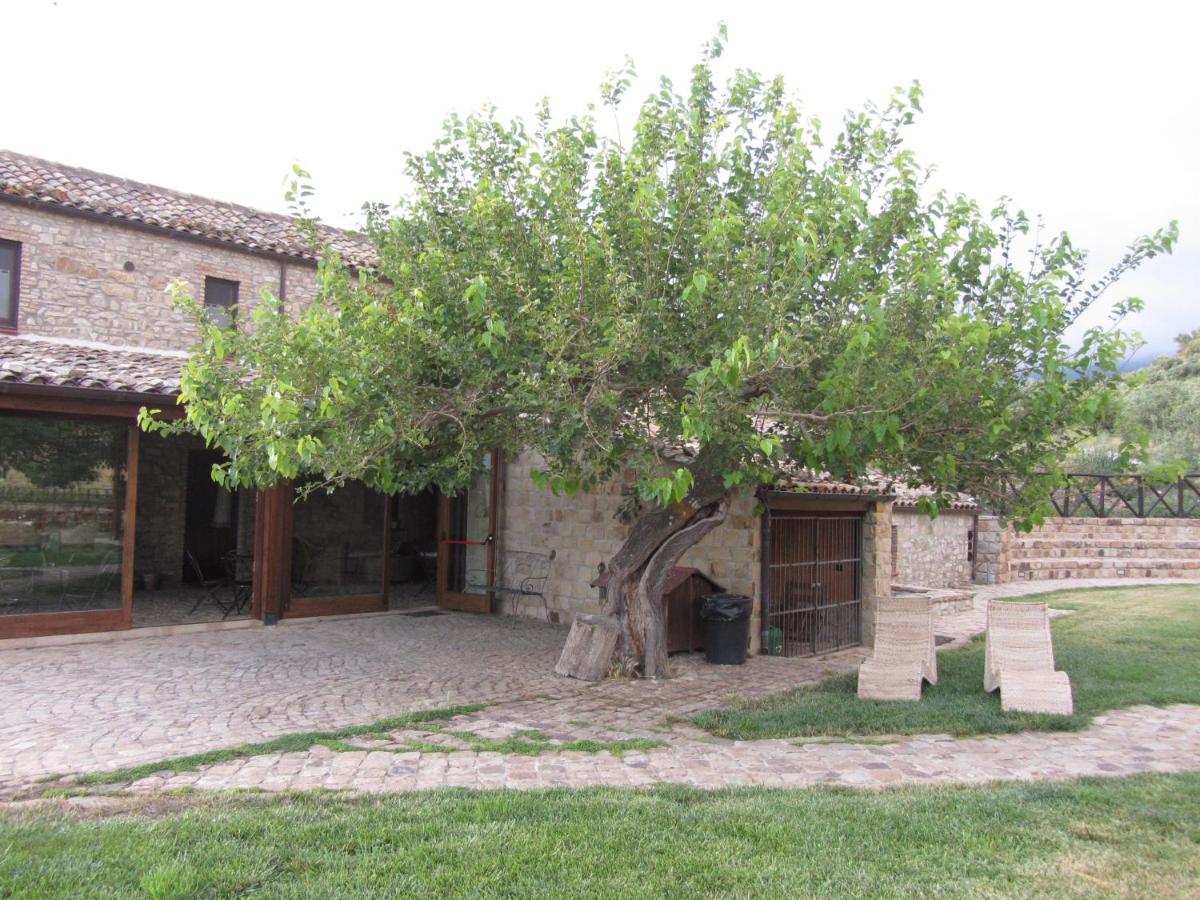 Il Baglio di Nonna Clelia - B&B