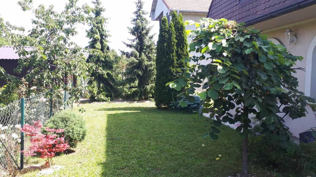 Villa Acer - Chambres d’hôtes Novi Sad