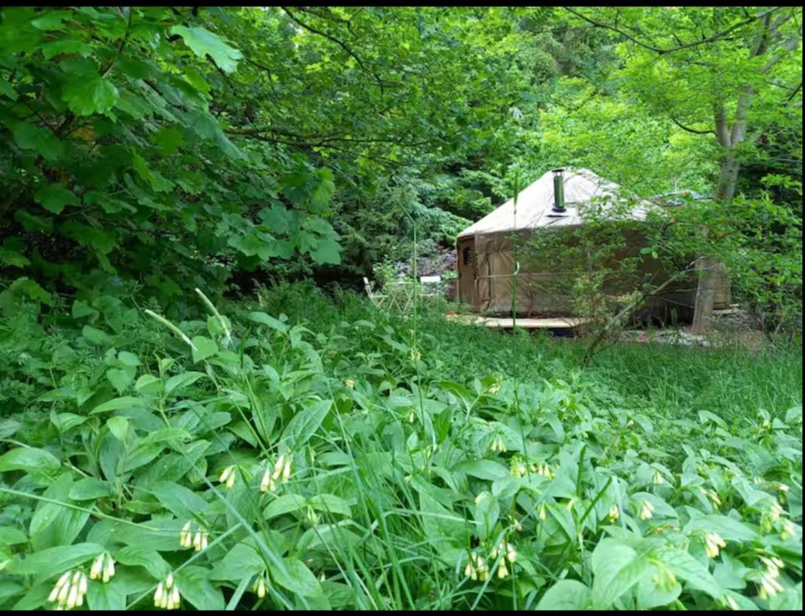 Esk Yurt - B&B Drumelzier