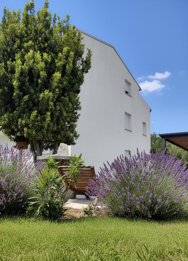 Apartments Lopar 377 - B&B Lopar