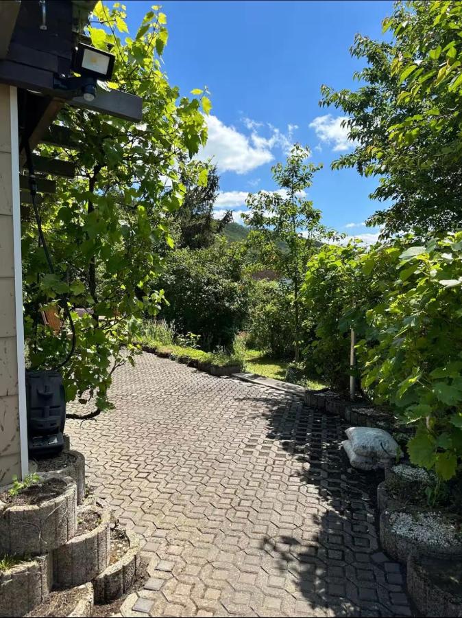 Ferienwohnung mit Traumblick - Chambres d'hôtes Graach