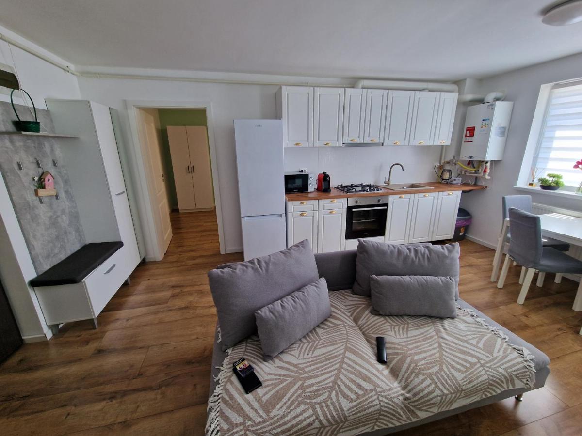 Osi aparatment's 2 - Ferienwohnung Floreşti
