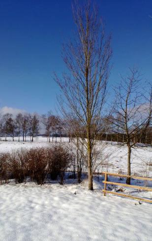 Ferienhaus Arisa II - Ferienwohnung Hasselfelde