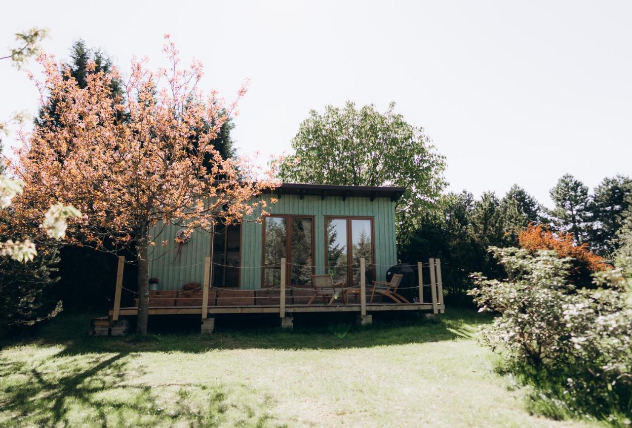 Sakura Tiny house in National park,salty pool - Bed and Breakfast Staré Křečany