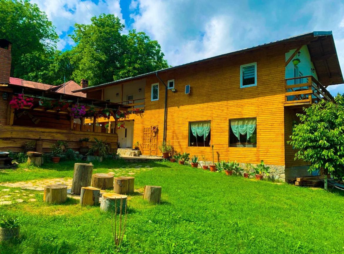 Cabana de sub deal Valea Doftanei - B&B Trăisteni