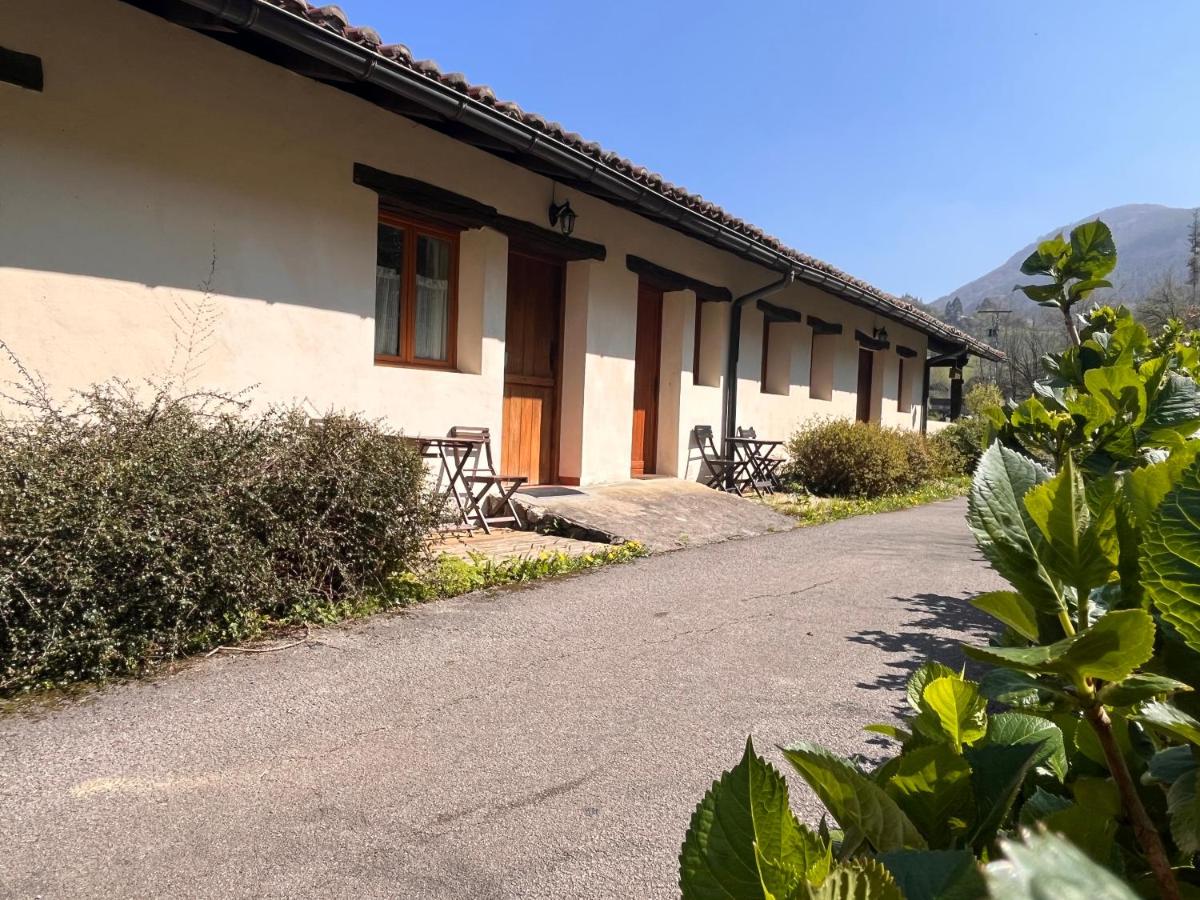 Apartamento - Planta baja