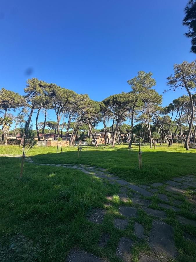 La Pineta Apartment - B&B San Rocco