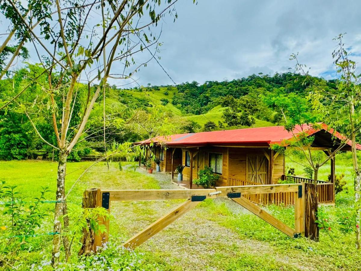 Cabañas Bambú Pérez Zeledón - B&B San Isidro de El General