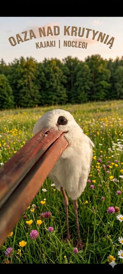Oaza nad Krutynią - Ferienwohnung Ukta