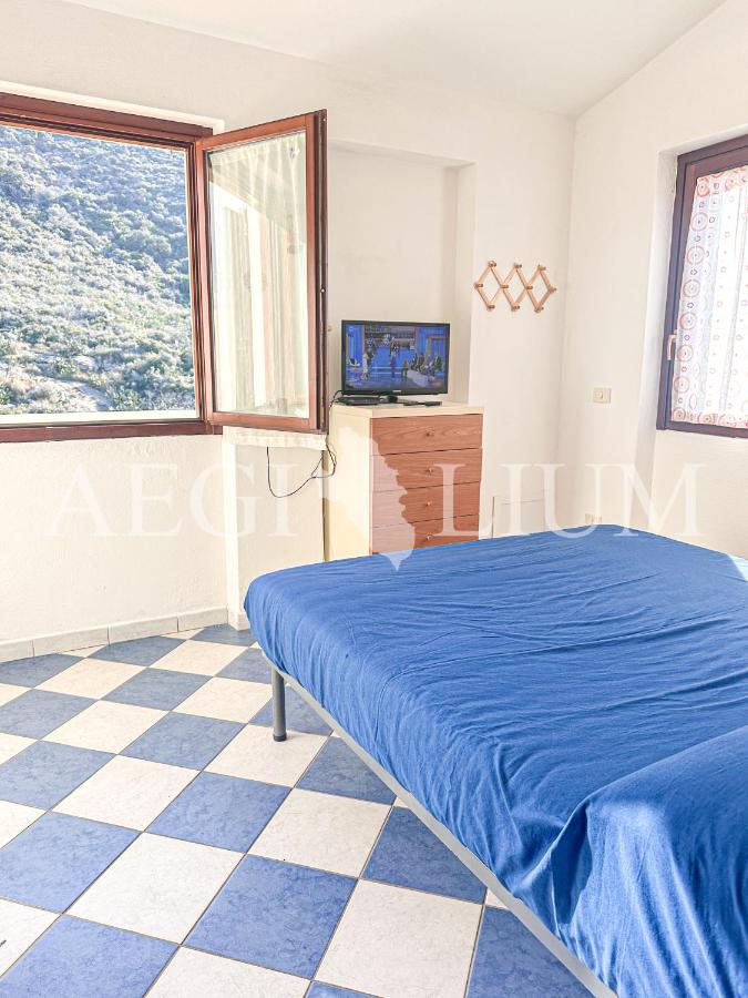 Giglio Viola - B&B Campese