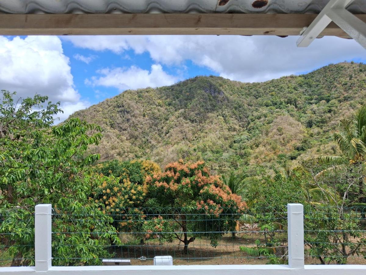 Appartement Corossol - B&B Les Anses-d'Arlet