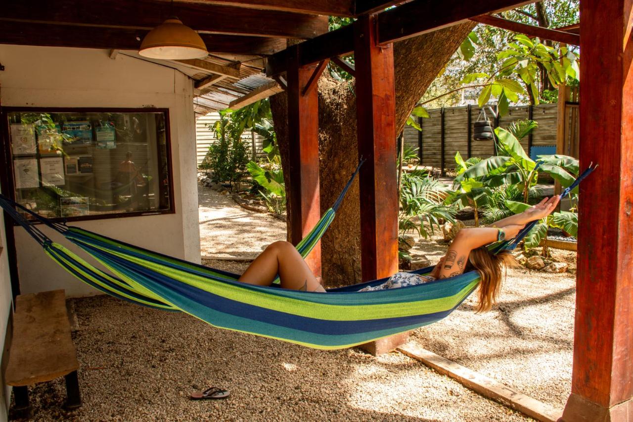 Noni garden apartment - B&B Tamarindo