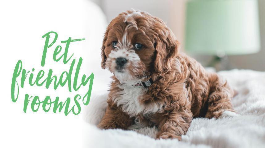 The Bay Horse Inn - B&B Green Hammerton