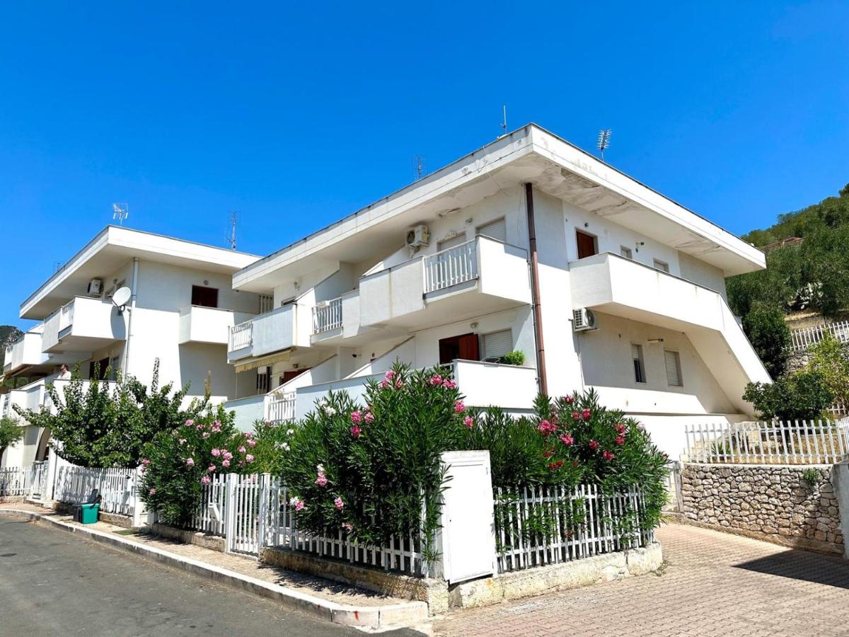 AMare Stella Marina - B&B Mattinata