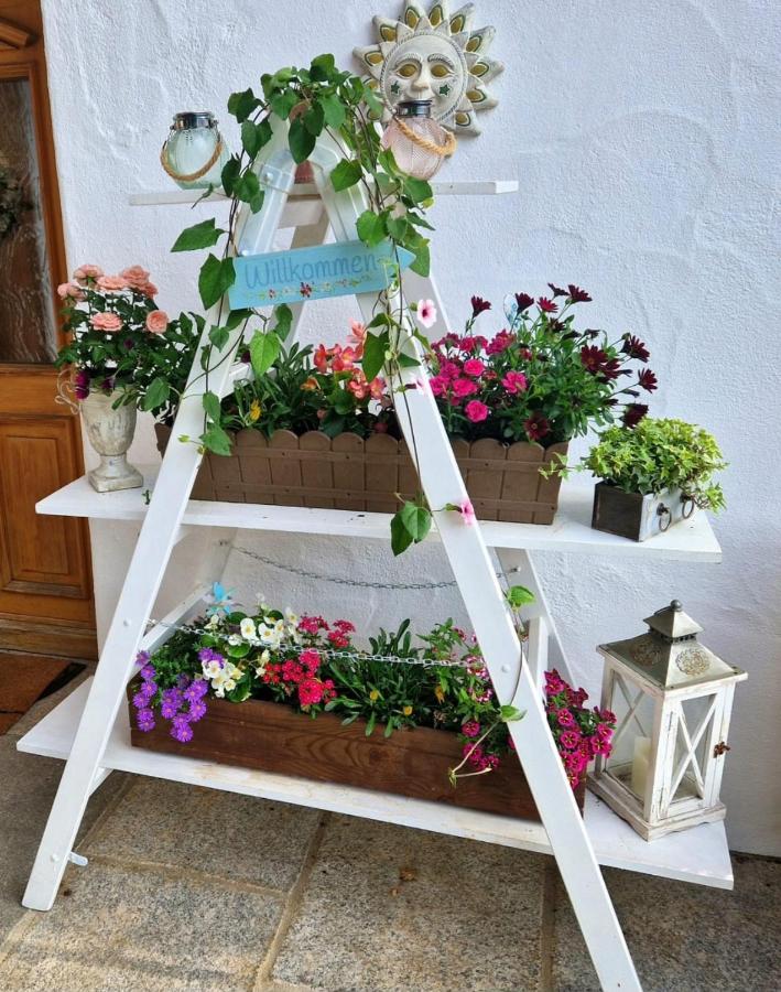 Ferienwohnung Fischbacher - Bed and Breakfast Waging am See