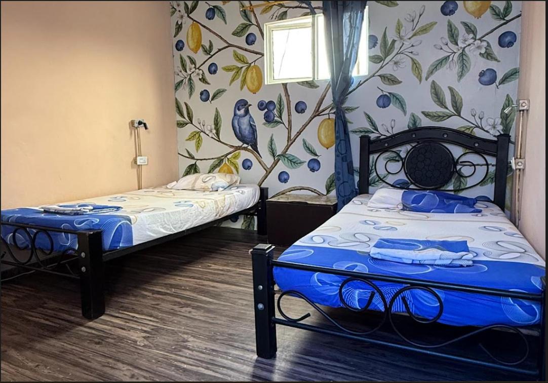 Eenpersoonsbed in Gemengde Slaapzaal