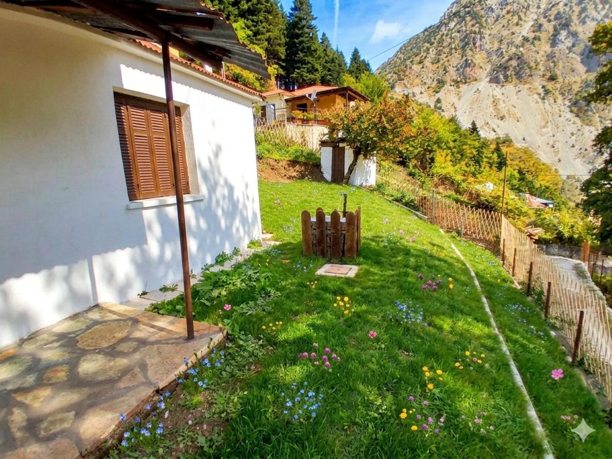 Family Country House - B&B Agía Paraskeví