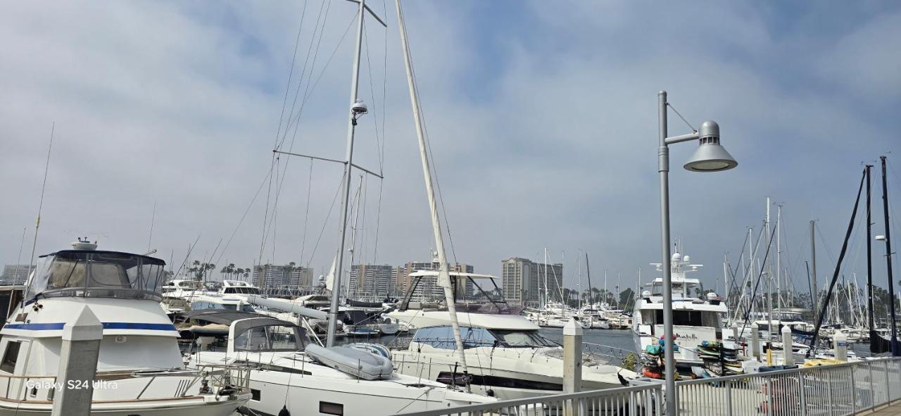 1-Bedroom Apartment near ALX Airport and the Ocean - B&B Los Angeles