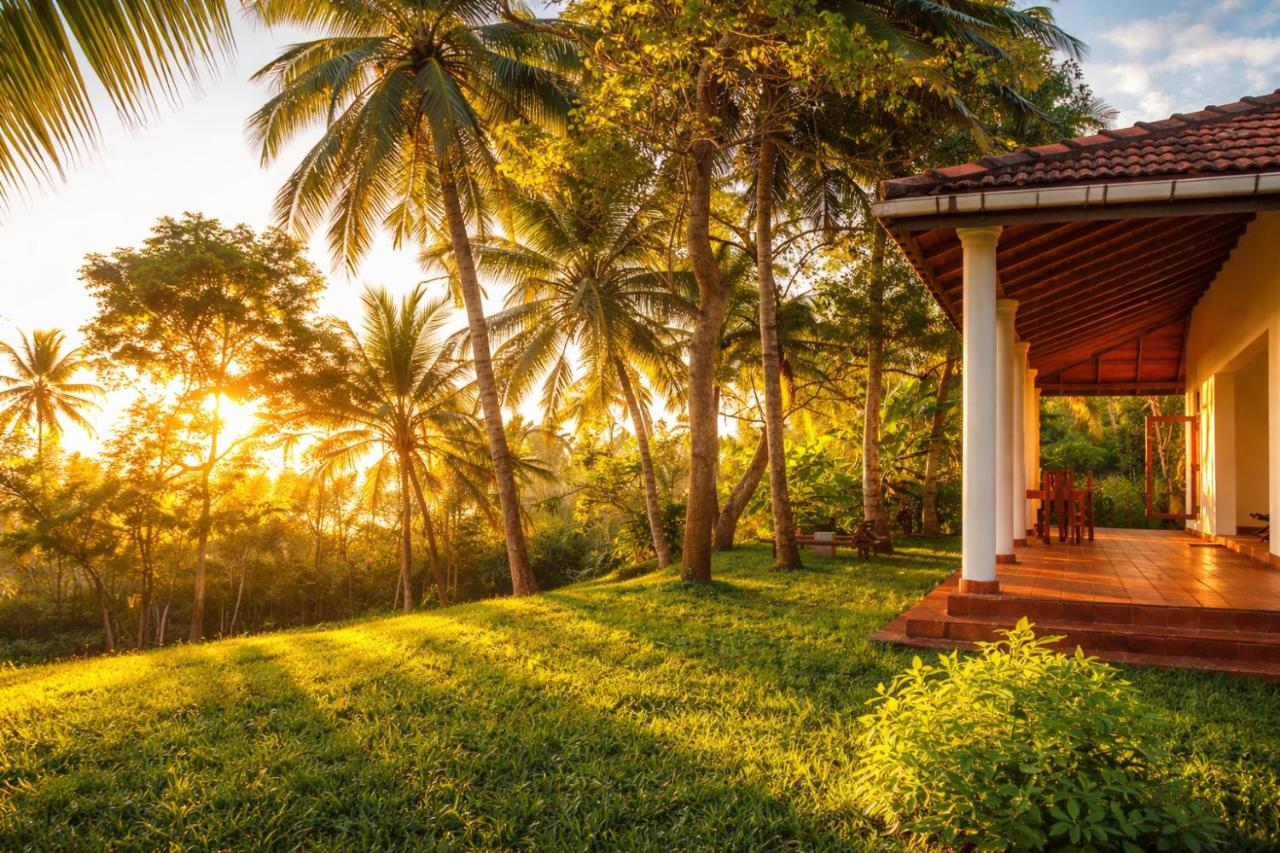 Bluewind Hotel - Ferienwohnung Tangalla