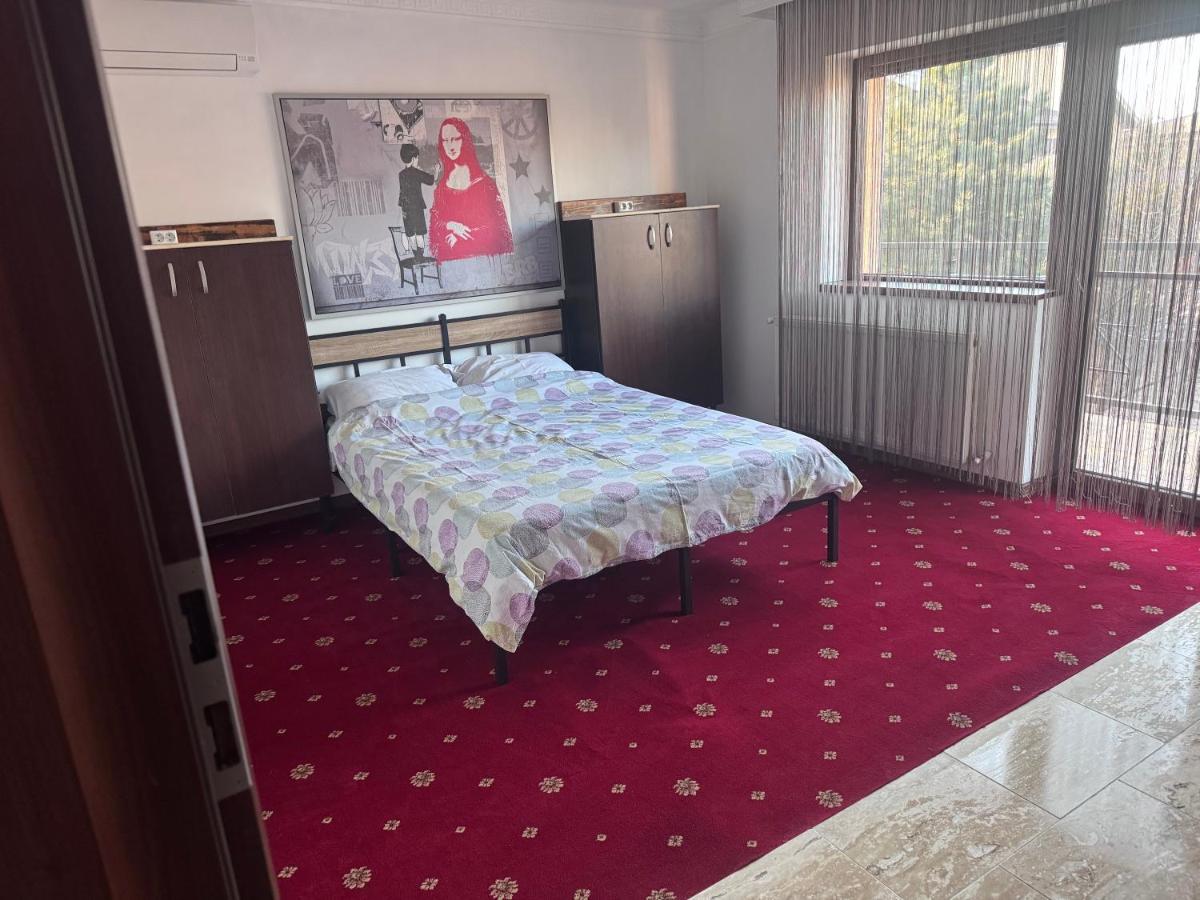 Vila cu trandafiri - Cozy Apartments Studio cu pat matrimonial