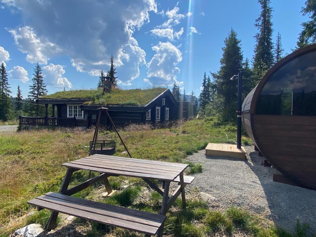 Synnfjell hytta - B&B Nord-Torpa