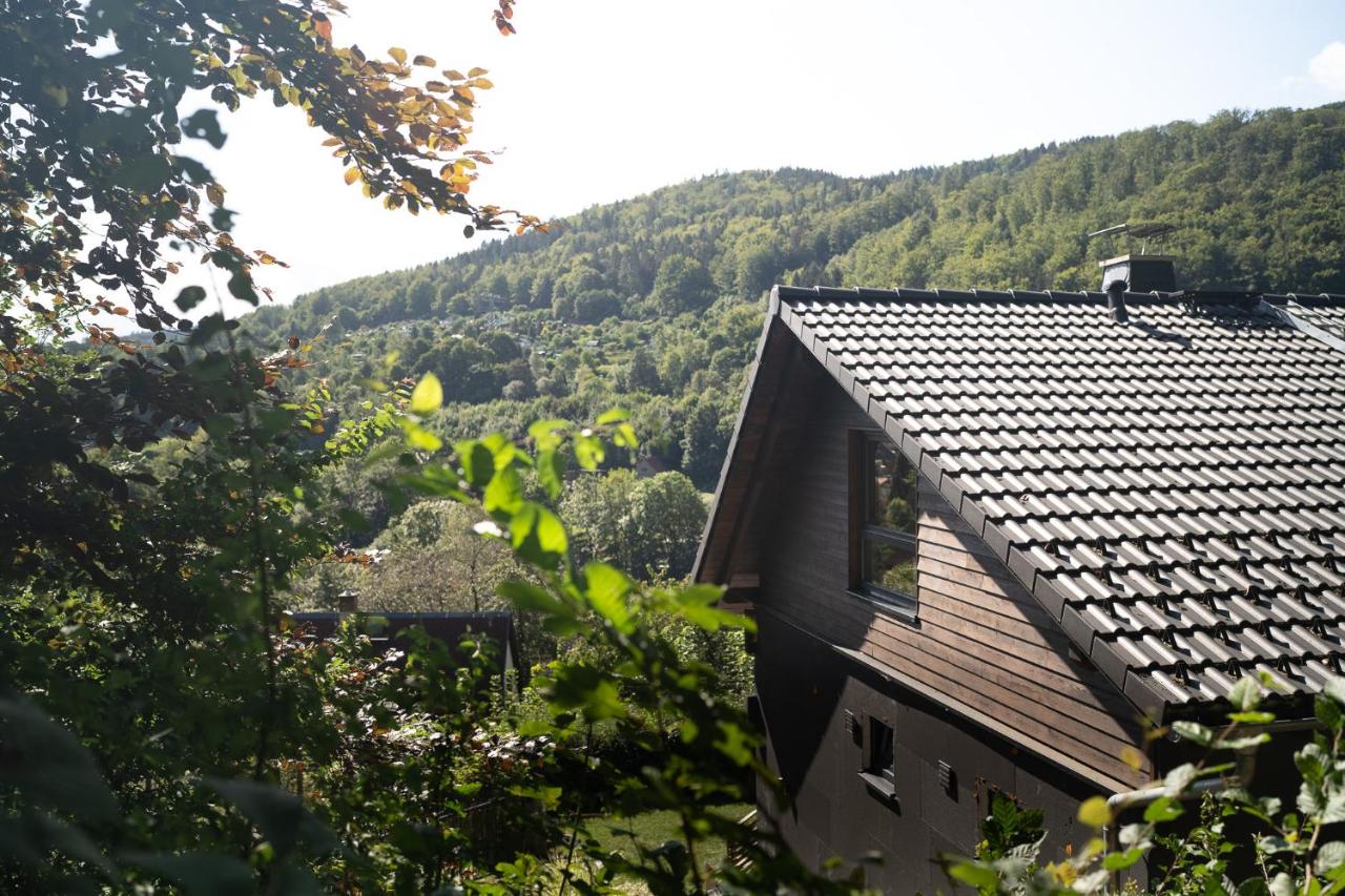 Chalet Hüttenzauber - B&B Zella-Mehlis