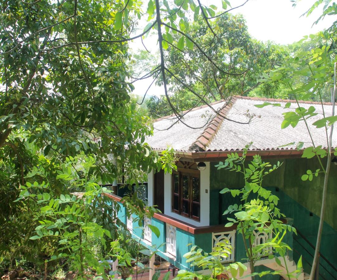 The Forest villa - Bed and Breakfast Rambukkana