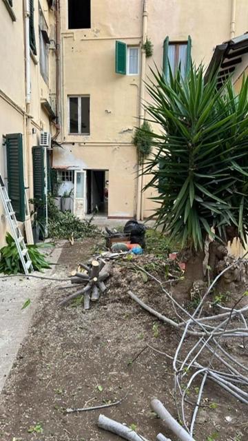 Spina Street Station - B&B Pisa