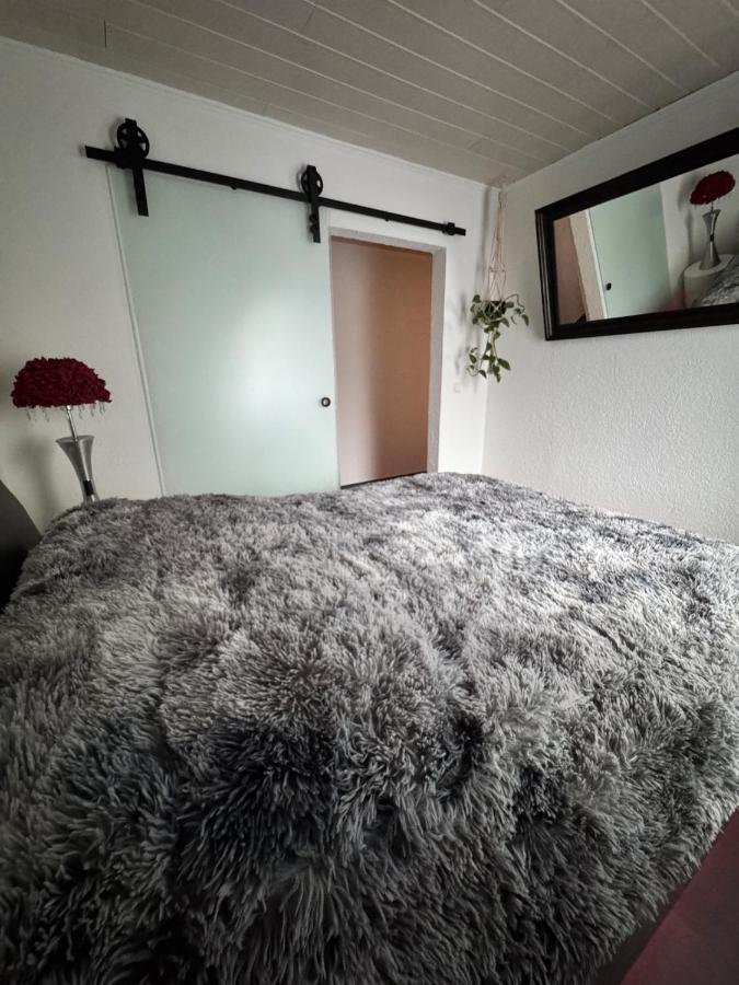 Red Silence I Design Suite im Koblenz - B&B Bendorf