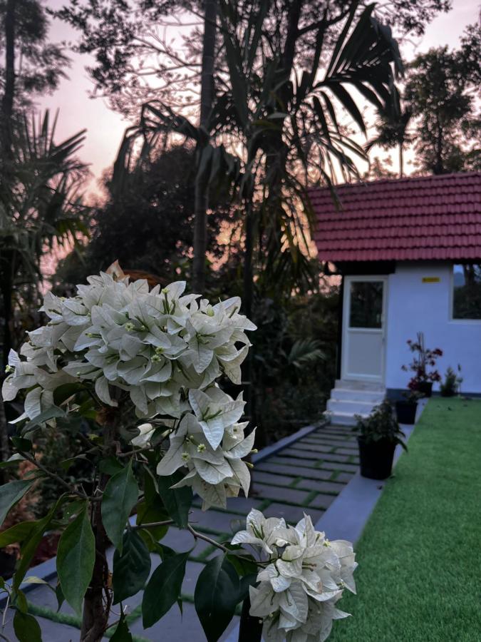 GreenSpun Nature stay - Chambres d'hôtes Somvārpet