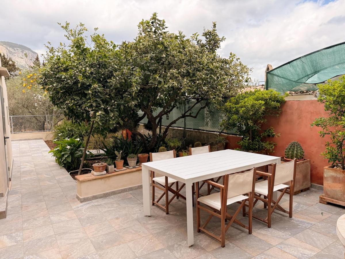 Manyolas 93 - B&B Alaró