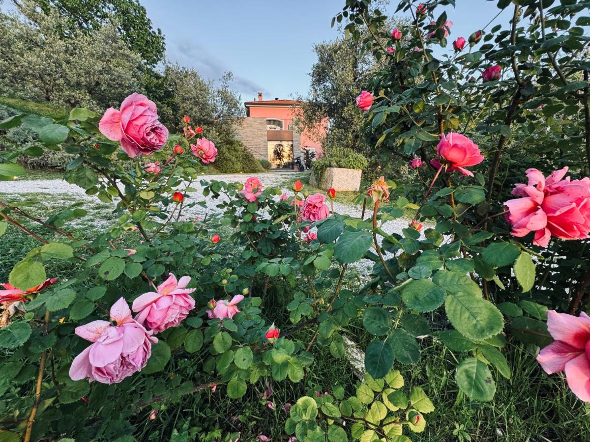 Agriturismo Belfiore - Ferienwohnung Castelnuovo Magra