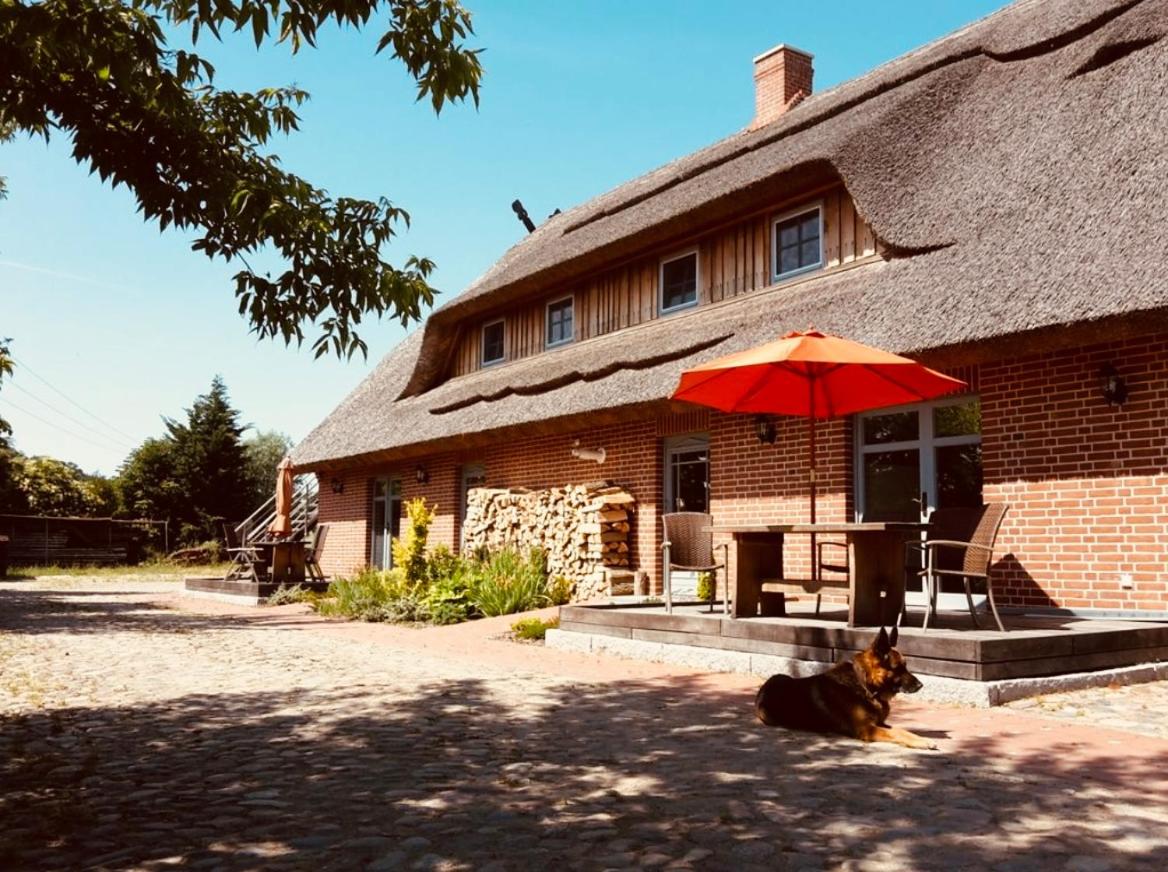 Dreiurtshof Fewo 3 - B&B Remplin