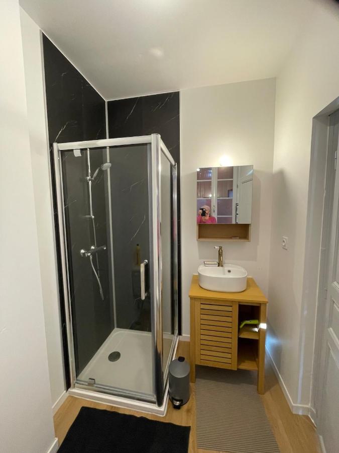 grand appartement lumineux proche du centre avec cour privée - B&B Bergerac