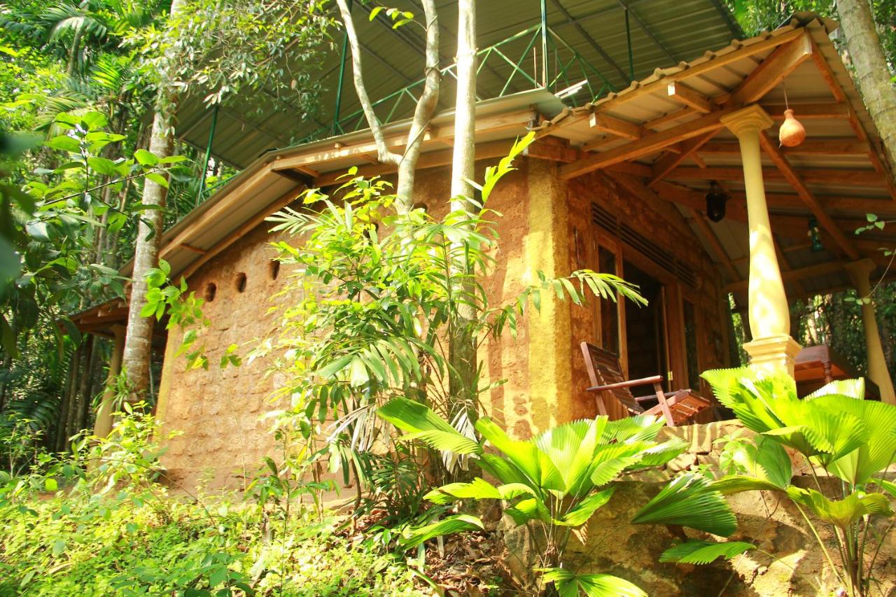 Kandy Eco Retreat - B&B