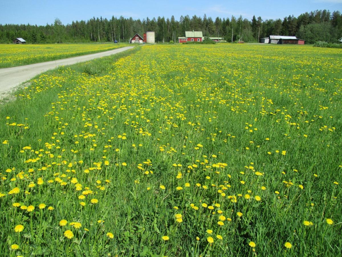 Pohja - B&B Joensuu